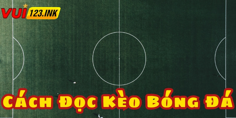 Cá cược bóng đá có nhiều dạng kèo khác nhau được cung cấp