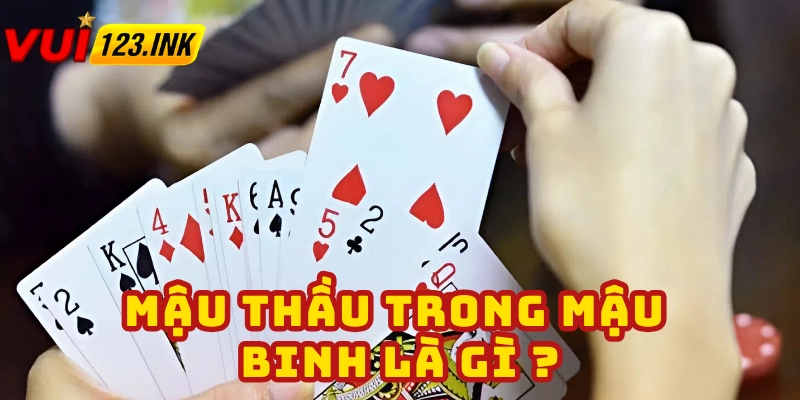 Giải thích khái niệm mậu thầu trong Mậu Binh là gì?